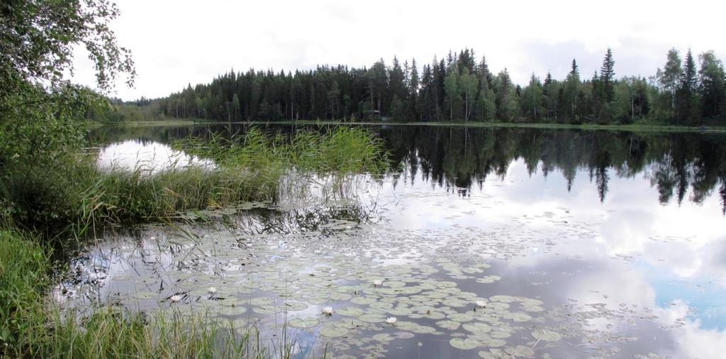 2. STORE BERGSJØEN (Vestre Toten) Status: Humusrik kalksjø (E07). Verdi: C Lok.