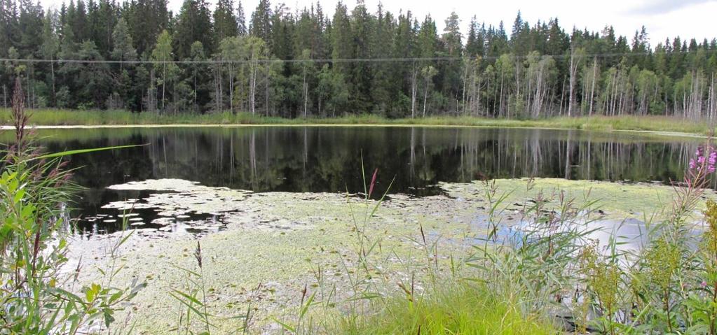 en kalksjø (E07). Vannet er omgitt av myrer og skog i sør og bebyggelse og en hovedvei i nord. Innholdet av både fosfor og nitrogen er høyt, spesielt nitrogen. Årsaken til dette må være gjødseltilsig.