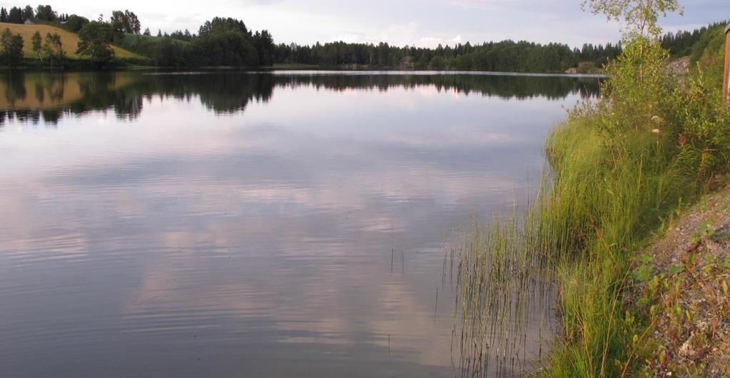 betinger utvalgt naturtype. Så vidt jeg fant, var bestandene av kransalger relativt spredte. Man så langt jeg fant hadde Steffensrudtjernet ikke utviklet kalkgyttje/kalkmergelbunn, men mer sandbunn.