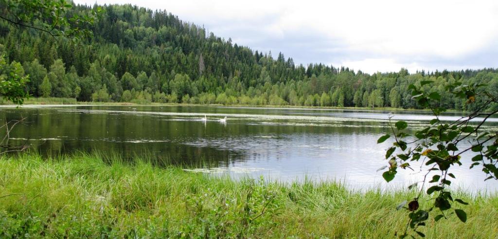 handlingsplanen for kalksjøer og på denne bakgrunnen kan dammen ikke verdisettes etter de kriteriene som er gitt i handlingsplanen for kalksjøer. 14.