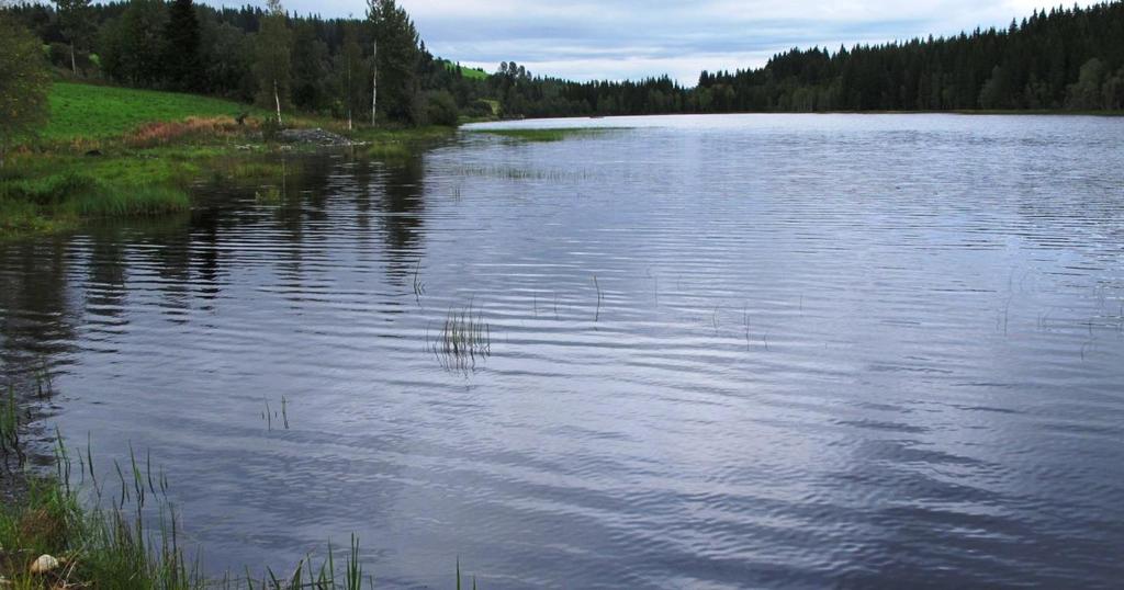 16. GLÆSTADTJERNET (Gjøvik) Status: Oligotrof, humusrik, kalkfattig sjø*. Verdi: Ikke verdivurdert Lok.