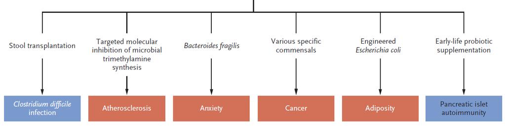 Strategies to target the gut