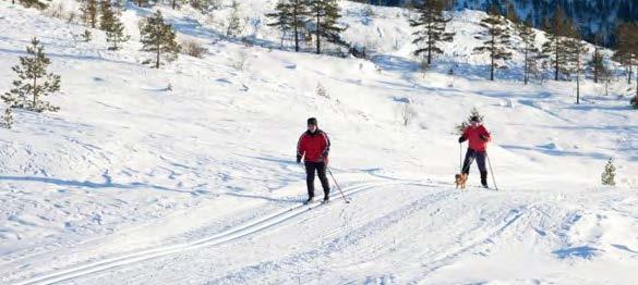 Over 5 mil med maskinpreparerte skiløyper Gautefall har alltid