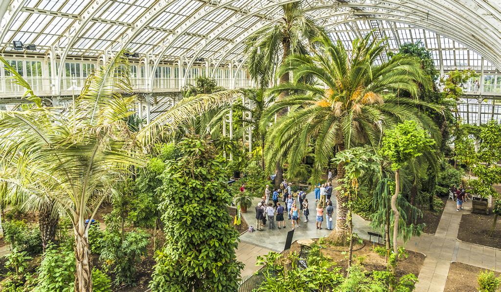 Rundreisen starter med tre dager i London, hvor vi blant annet skal på utflukt til det gamle Tudor-slottet Hampton Court og verdensberømte Kew Gardens.