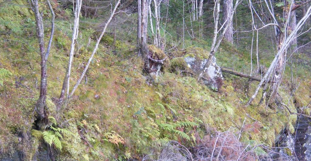 skal lenger inn i skråninga og lenger mot kamera). Kvit stipla linje viser vegen oppover mot sørlege deler av Varaldsøy.