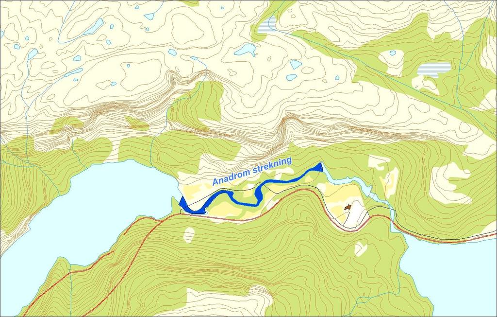 Utløpskommune Etne Anadrome innsjøer Nei Anadrom strekning (km) 1.