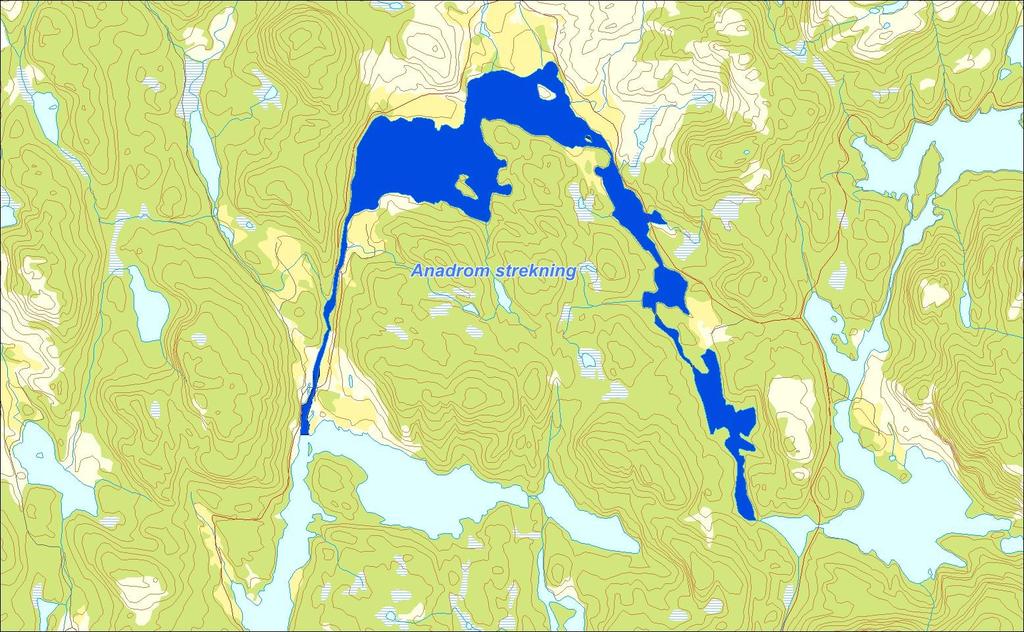 Utløpskommune Masfjorden Anadrome innsjøer Anadrom strekning (km) 6.