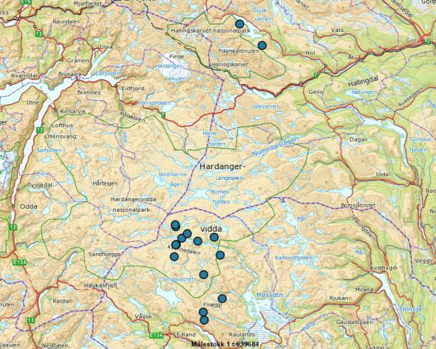 Brune sirkler angir påviste ynglinger der tispa og/eller valp(ene) er tatt ut. (Kilde: NINA Rapport 1196) Etter 10.