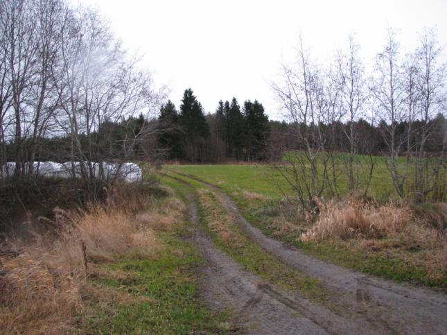 Kvikkleire/Flom: Omsøkte parsell ligger ikke innenfor fareområde for kvikkleire eller flomsoner i de kart som kommunen har fått tilsendt fra NVE.