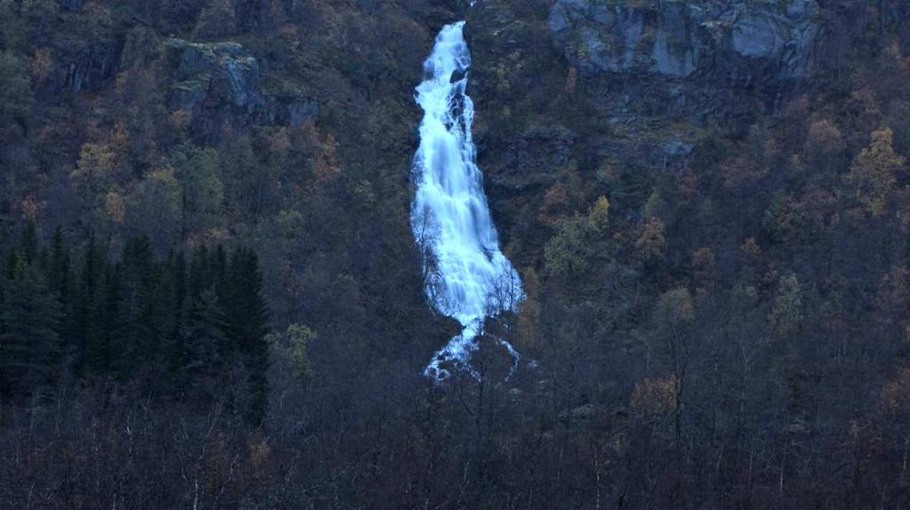 Ecofact AS Side 14 Figur 10. Svartskarforsen fotografert fra Gårdsvatnet høsten 2009. Foto: Geir Arnesen 6.4.3 Fugl og pattedyr Det er ingen tidligere fugleregistreringer i området, og vurderingene må da bygge på habitatobservasjoner som ble gjort under feltarbeidet.