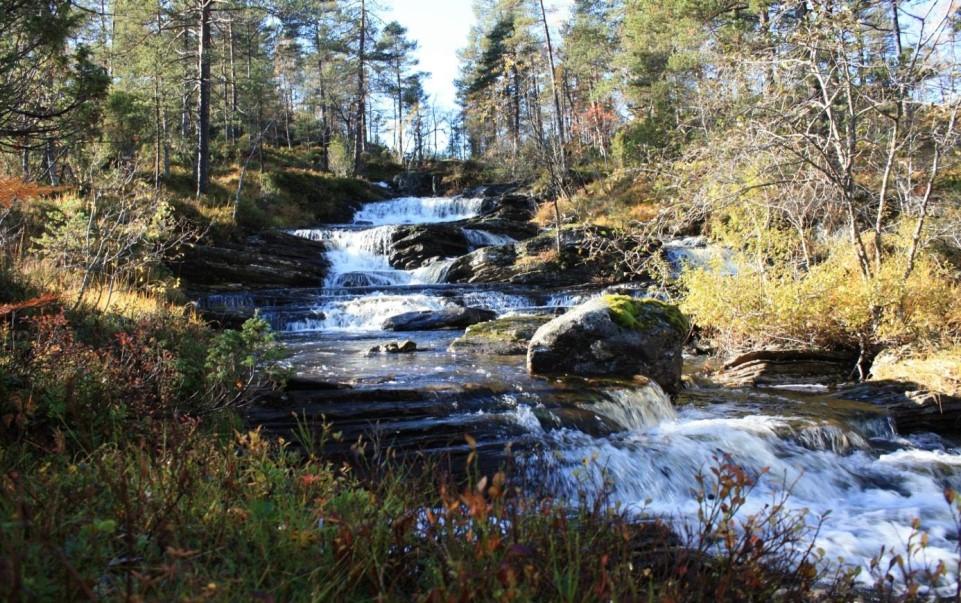 Side 3 av 5 615 og ned til kraftstasjonen ved vatnet. Om lag 400 meter jordkabel skal leggast frå kraftstasjonen og opp til ein transformatorstasjon ved fylkesvegen.