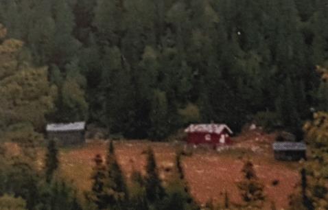 Tiden er nå kommet for å ta i bruk denne delen av gårdens driftsapparat, for å styrke næringsgrunnlaget/utviklingsmulighetene på gården i årene framover med utgangspunkt i dagens behov.