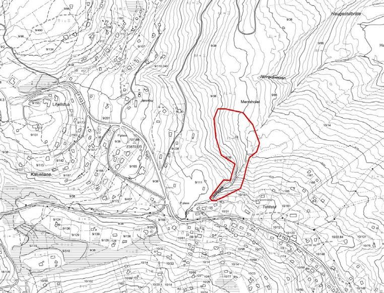 3 Biologisk viktige delområder Fig. 9. Naturtypelokaliteter kartlagt ved Jønnbu på Lifjell 2011. 3.