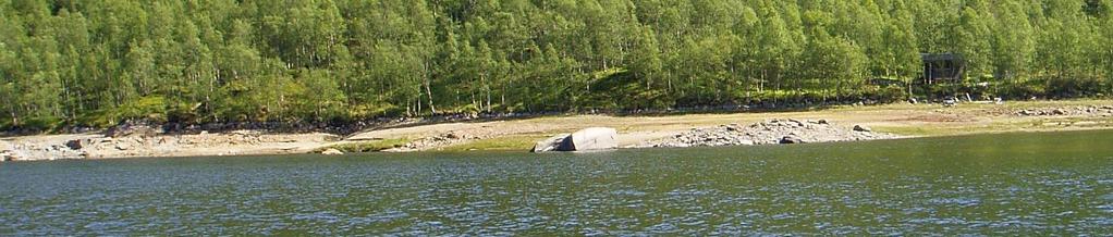 . Stasjonsbygningen vil ha en grunnflate på ca 100 m 2 med utforming og fasade som gjør at den skjules best mulig i terrenget.