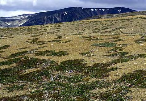 Regionen kjennetegnes av en nær sammenhengende kjede av fjelltopper, som står som en mur mellom fjordene i nord og