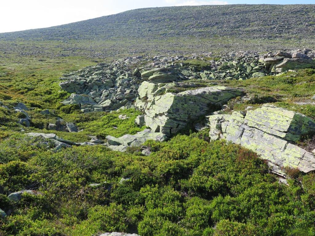 Fangstanlegg vesle Sølenskaret 4.