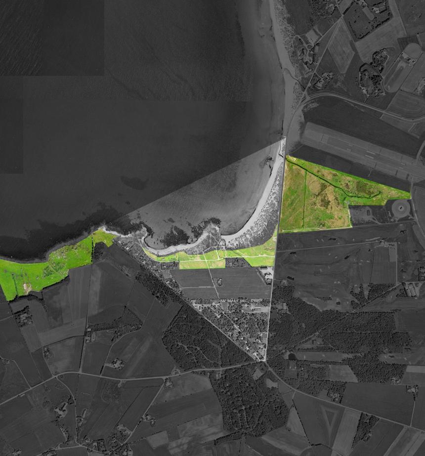 ENG 3 Innenfor sanddyene og bergstranden strekker varierende engområder seg. De fungerer som en buffersone mellom de bølgende sanddynene og de flate og geometrisk avgrensende jordbruksområdene.