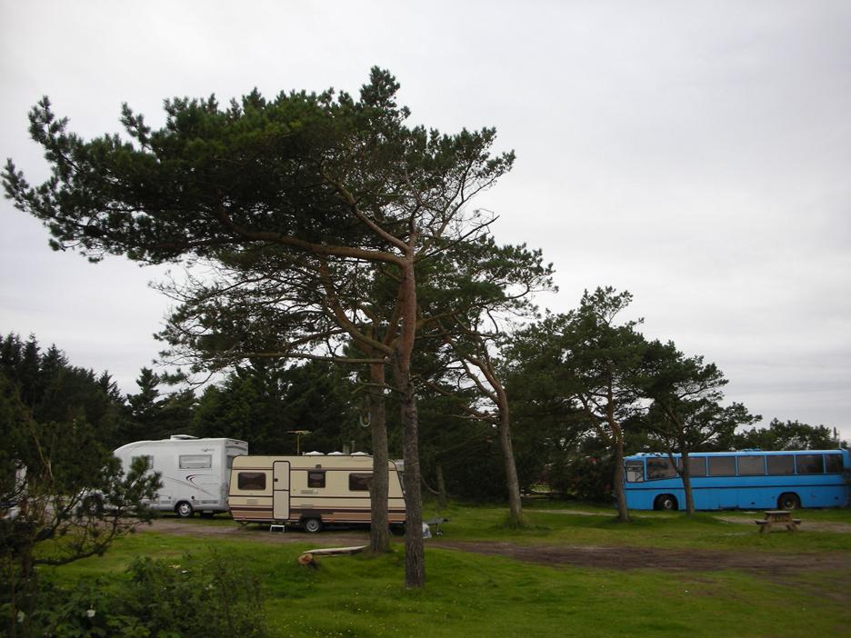 SKOGBRYN Skogen innenfor triangelet løser seg gradvis opp, og