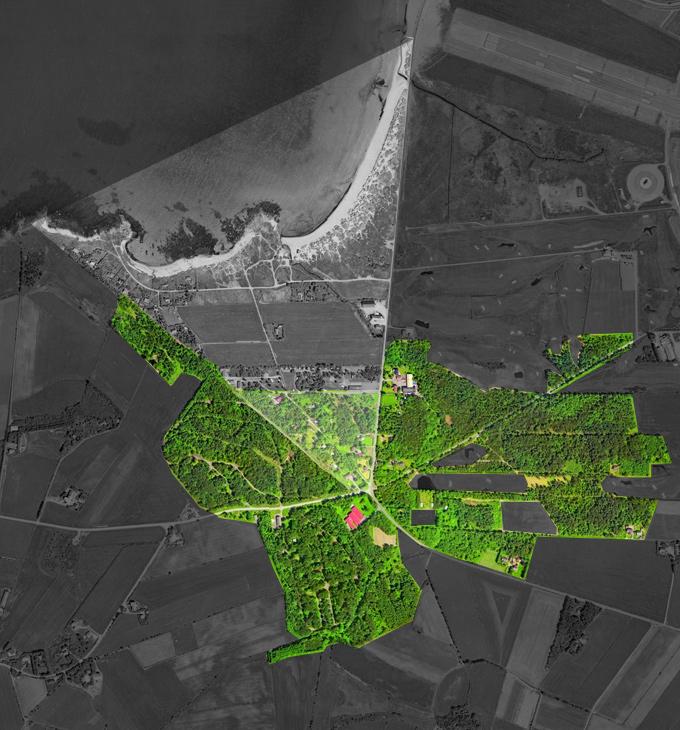 SKOG 600-700 m fra stranden starter Ølbergskogen, som er skogområde,