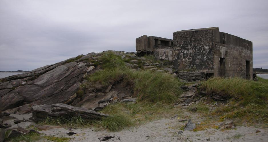 I den ellers ubebyggede strandsonen