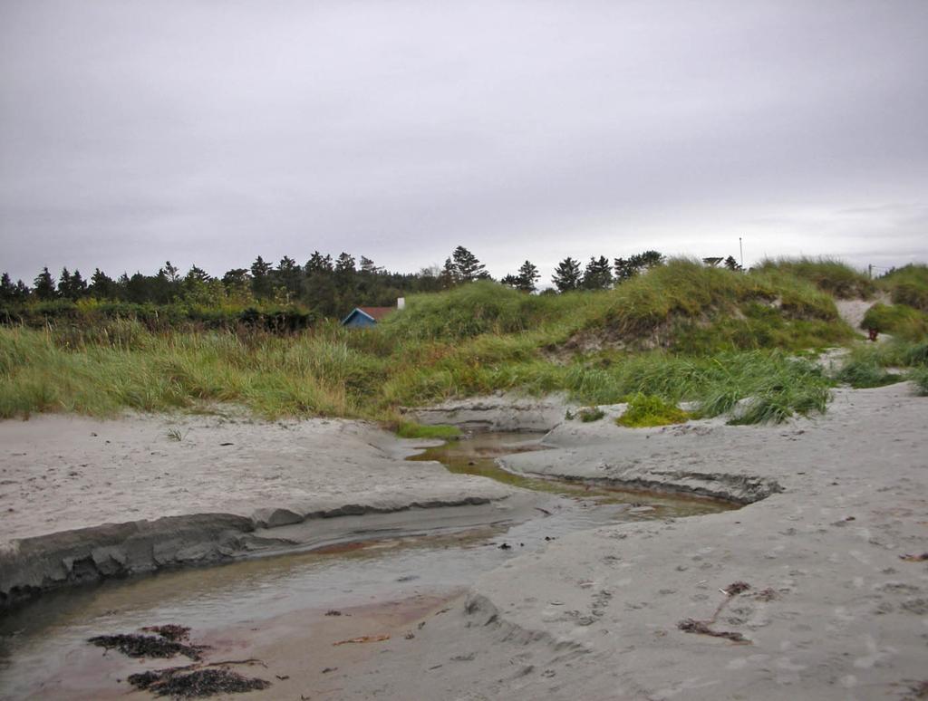 i møtet med havet.