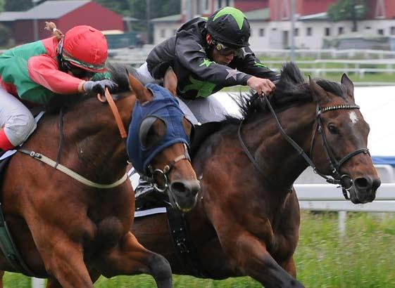 NoARK Styret i Øvrevoll Galopp AS B Jacobsen, formann C Skotvedt R Hoel A Petterøe Administrasjon H P Eriksen, adm dir Programredaktør L Kristiansen Tillitsmenn Løpsledere H P Eriksen O J Jakobsen