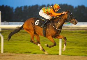 R En solid kaptein Fridag med galopp Captain America imponerte i Noviseløpet. Captain America tok løpsdagens mest suverene seier på Øvrevoll torsdag.