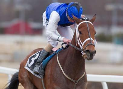 I fjor vant ikke Female Spring før Derbydagen, i år var hun fire måneder tidligere ute. Eneste dobbeltvinner for kvelden ble Nathalie Mortensen.