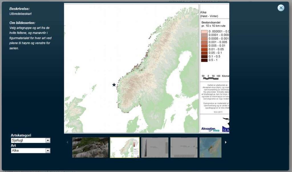 12.1.3 Utbredelseskart For hvert datasett vises utbredelseskart for arten, for en eller flere måneder som vurderes relevante for aktiviteten.