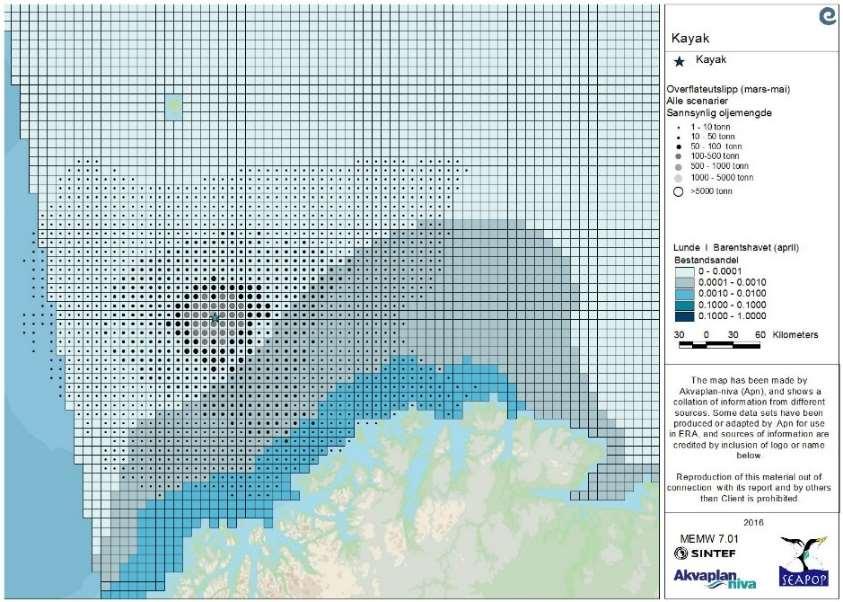 Figur 50 Lunde i åpent hav i Barentshavet (våren) (øverst): Det er større