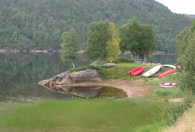 Disse temaene må tas stilling til i andre pågående prosesser som arbeidet med Vannforskriften og utarbeidelser av en handlingsplan for problemvegetasjon i Sira.