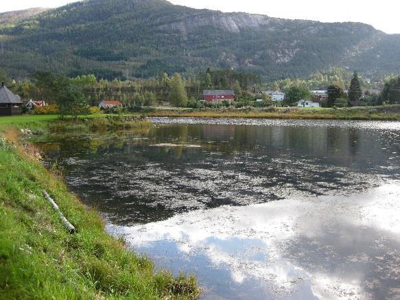 Det kommer også frem ønske om stabilisering av selve standen. Sira Kvina har allerede gjennomført en del tiltak i dette området.