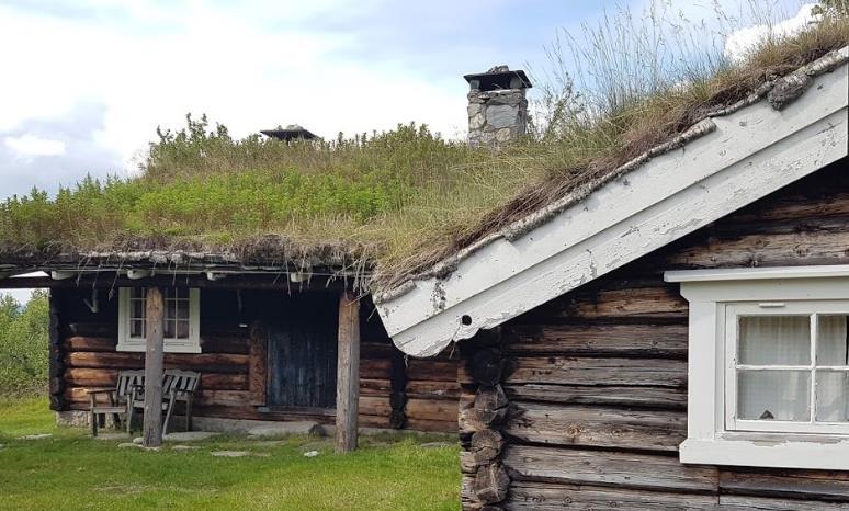 Intensive grønne tak Intensiv skjøtsel (>15 g år) 40-100 cm vekstmedium av varierende sammensetning Planter: Brett spekter av planter, Krever vanligvis vanningssystem