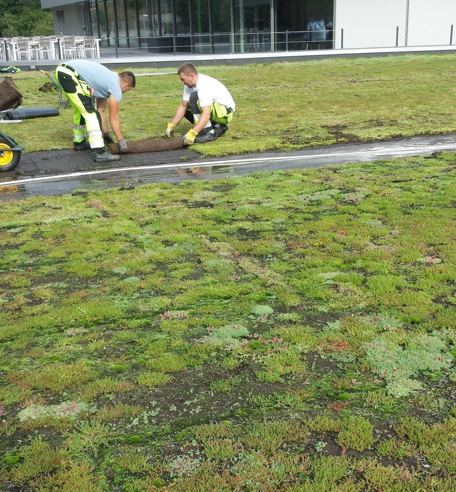 Krav til utførelse etter NS 3840, fokuserer på kontroll mellom leddene Mange aktører og fragmentert ansvar gir behov for rolleavklaring.