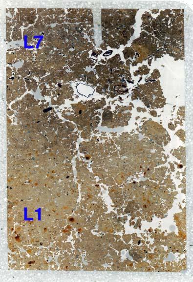 Fig. 24: Scan of M9077B (Mound 2, ditch); Layer 1 is composed of