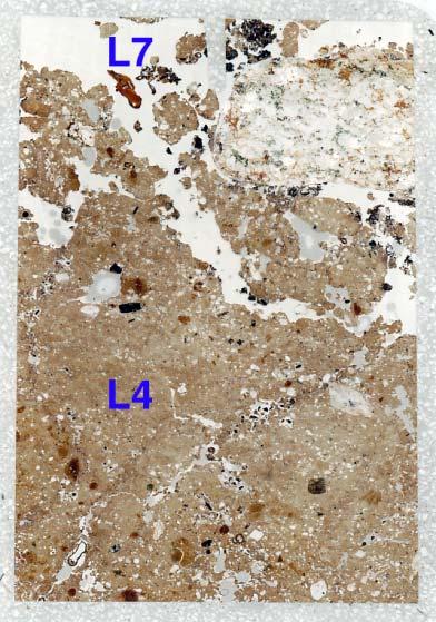 Fig. 40: Scan of M13145A (Trackway); boundary between