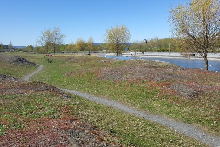 Figur 5 I Nansenparken ble det bruk stegent materialet. Dette gir et autentisk preg, samtidig som det fremme stedegne biologiske mangfoldet og bør brukes som inspirasjon for utbyggingsområdet.