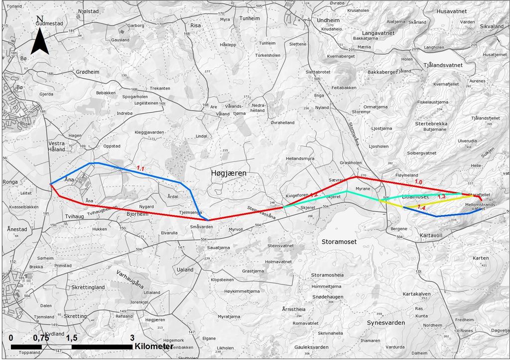 Figur 4.1. Utredningstraseer for 132 kv ledningen Kartavoll Opstad. 4.2 Mastetyper og liner Det vurderes flere mulige tekniske løsninger på en ny 132 kv forbindelse.