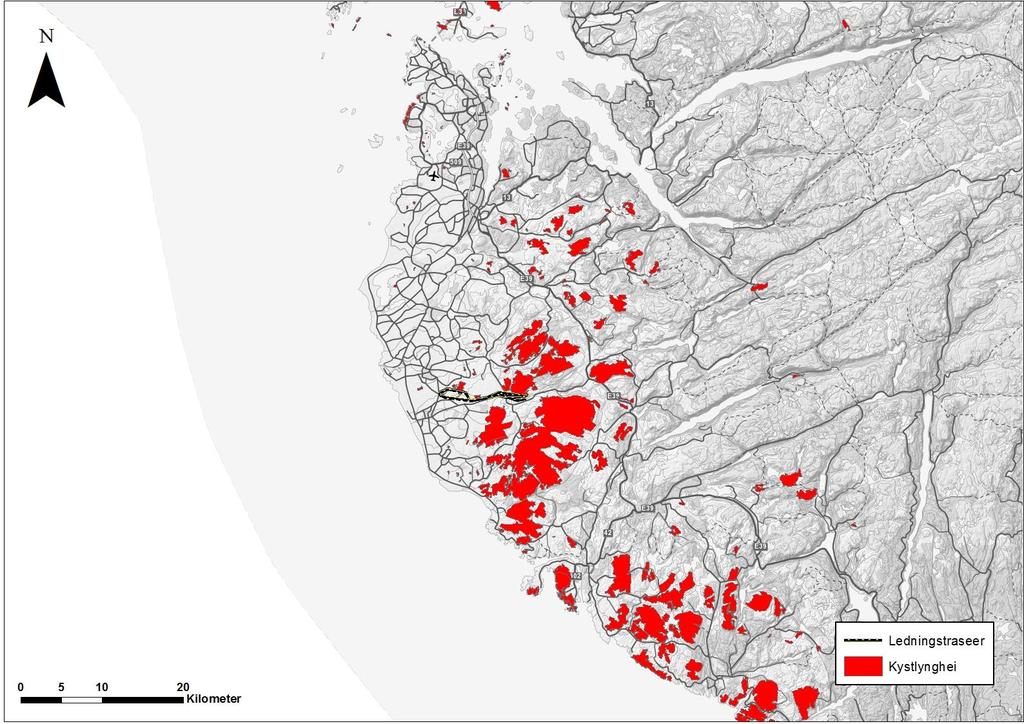 Kystlynghei En truet og utvalgt naturtype, kystlynghei, er vanlig forekommende i og ved traséområdet, som vist på figur 8.1.