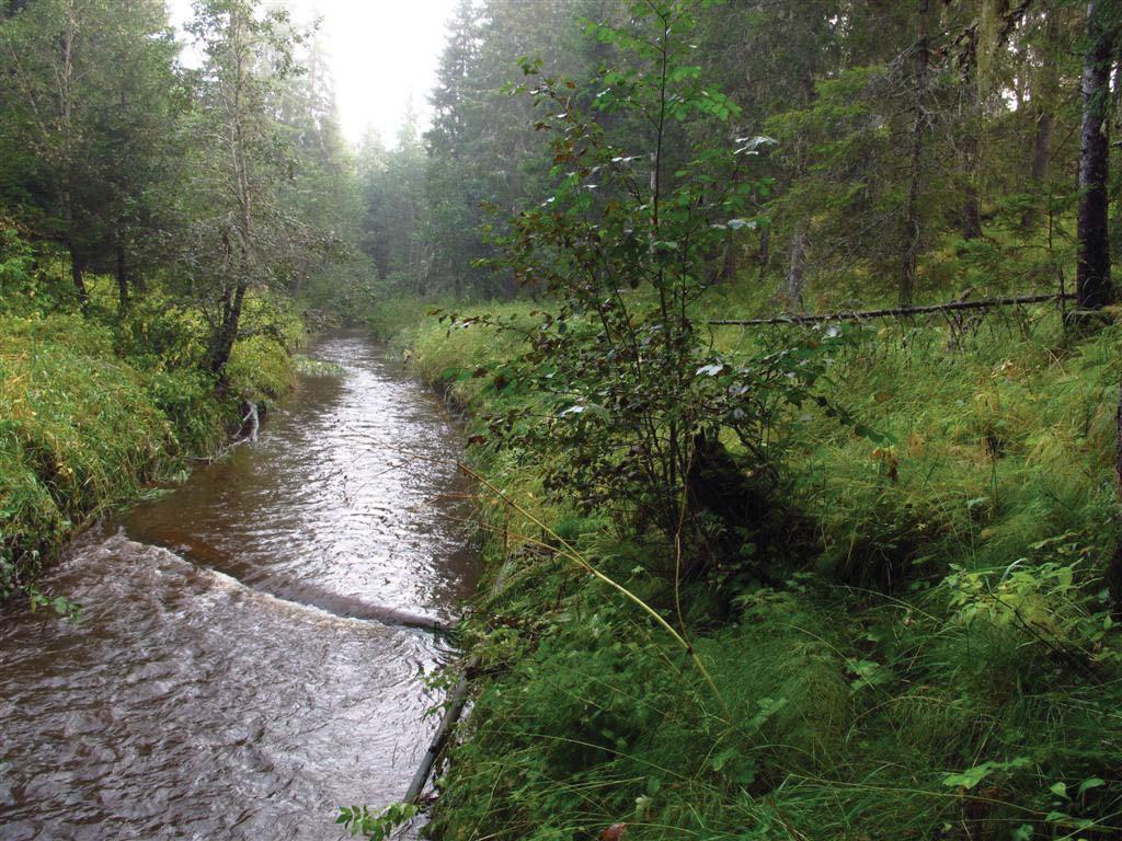 Beliggenhet og naturgrunnlag: Lokaliteten ligger langs Myrelva, mellom Vestmyr og Belgvoll, rett på nordsiden av rv. 17, i Overhalla kommune.