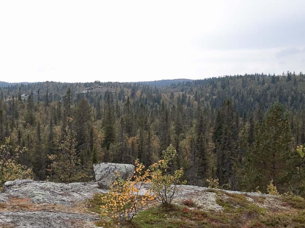 6 OMRÅDEINNDELING OG VALG AV RENSELØSNING Med bakgrunn i plassering av planlagte hytter har vi delt inn området i 7 felt/avløpssoner sett utfra naturlig fallforhold og topografi samt fornuftig