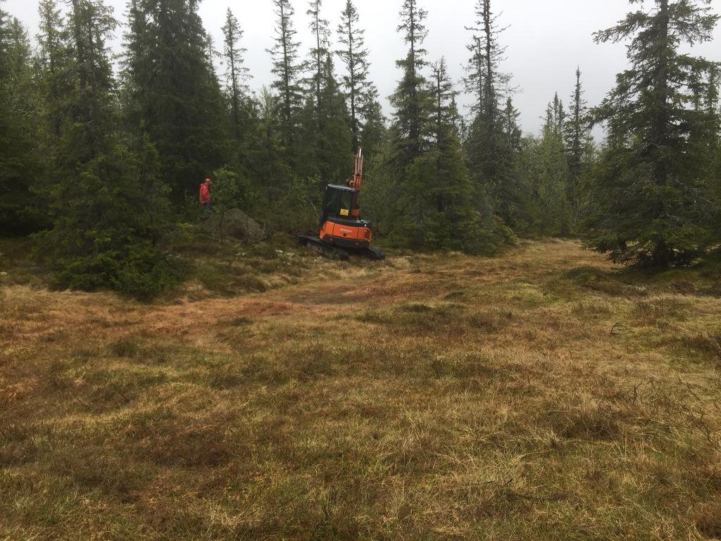 Så et lag med grus/stein før det er sand/silt/leire. Nokså tette masser i bunnsjiktet. Det er noe begrenset med infiltrasjonsmuligheter.