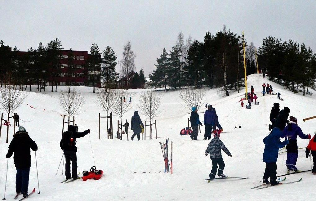 Kommunen kan sette krav til boligstørrelser og til nærområdet Mangfold og variasjon i