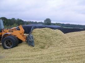 De Flingk Silage silokuttere Eater is er speciaal designet ontwikkeld med fokus voor på een kvalitet grote og capaciteit lang holdbarhet. bij het inkuilen Blant annet van gras har en alle mais.