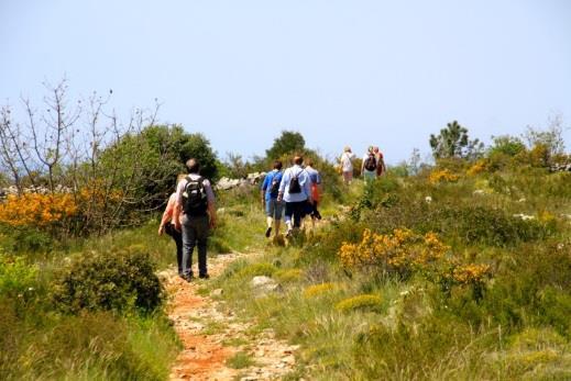 mai: Cavtat / Cilipi (F,M) Etter en rolig frokost tar vi buss til nabobyen Cilipi, hvor vi ser oss rundt i byen eller blir med på den katolske formiddagsmessen i byens vakre steinkirke, med mye