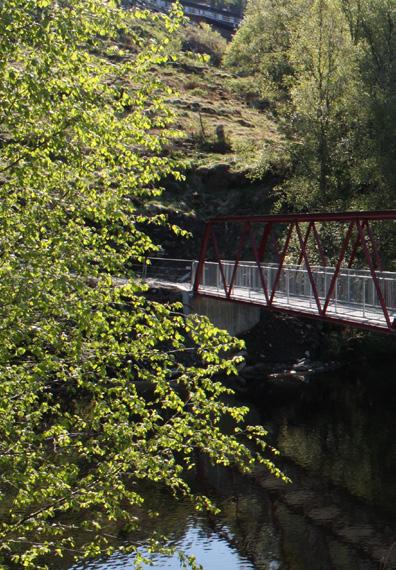 Fra tomtefeltet er det gangavstand til Valestrand