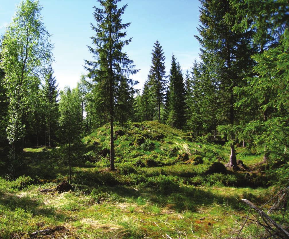 Figur 7. Gravhaug på Brennemoen, id 67345-1, som sammen med flere gravhauger og hulveier indikerer bosetting i jernalder. Foto: Anneli Nesbakken, NIKU 2010.