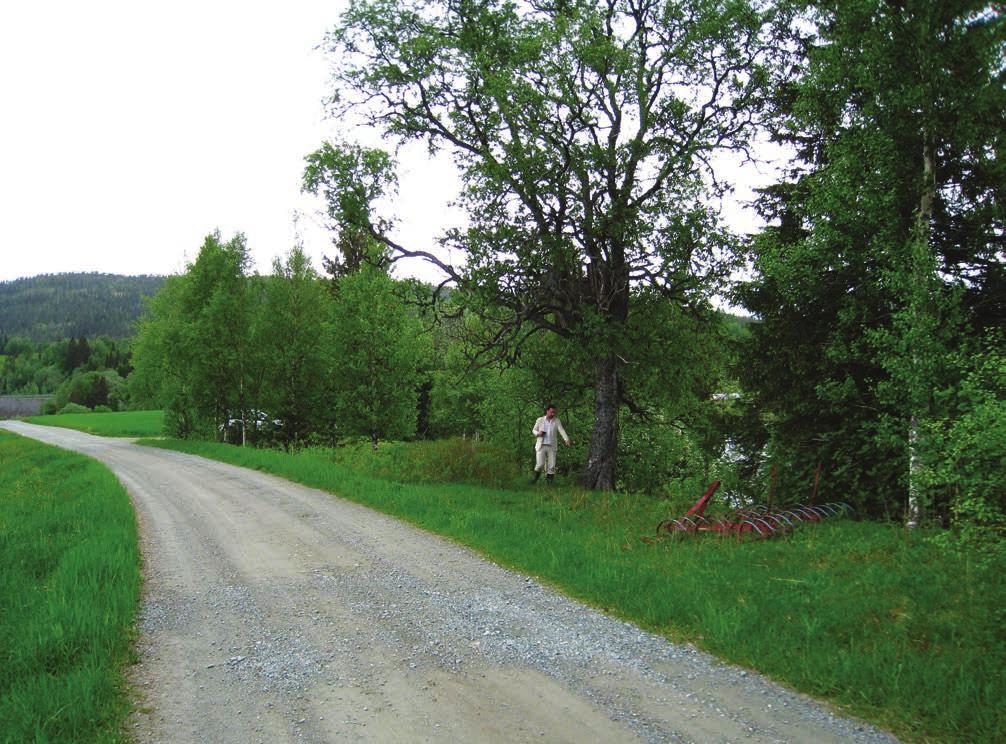 Figur 21. Her sto benken med den nå forsvunne bautaen.