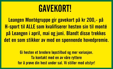 9 10 Trøndern 4 0 4 år Svart V v. Järvsöviking* (S) e. Fjord Elda v. Elding Bjørn Terje Haugan-Terje Skarlo Jomar Blekkan (T) - Bjørn Terje Haugan Blå m/rød ermstripe + rekl.