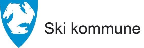 løsninger Ski, 1.